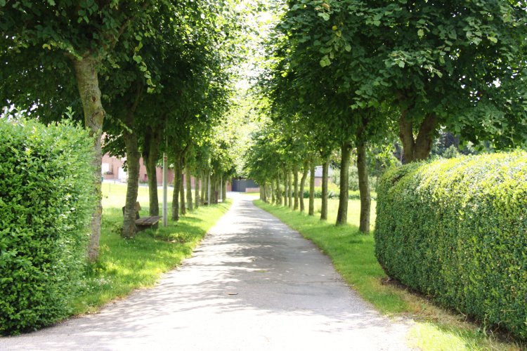 Estaminets flamands : De Vierpot ( Le pot à braises) à Boeschepe