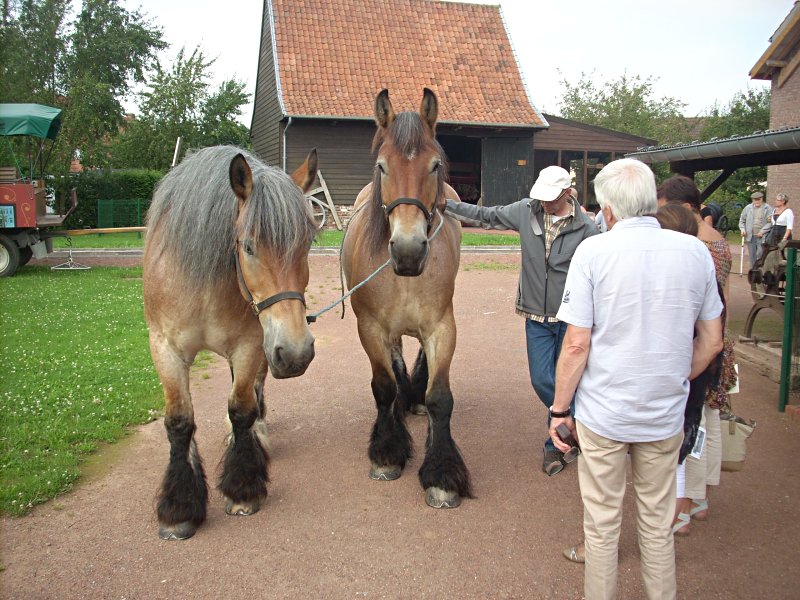 Estaminets flamands : A la gaieté, et Musée de la vie rurale à Steenwerck